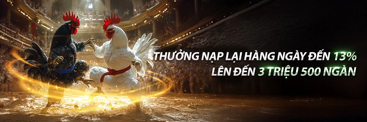 Đá gà trực tuyến sôi động tại Bet 11